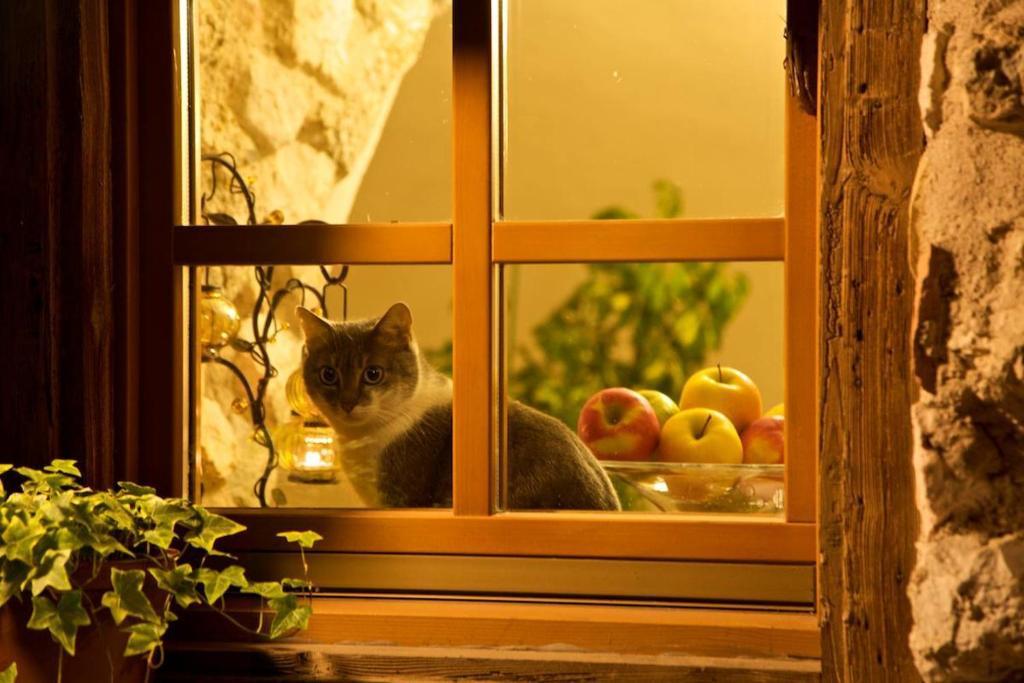 Willa Agriturismo Al Picchio Ala Zewnętrze zdjęcie