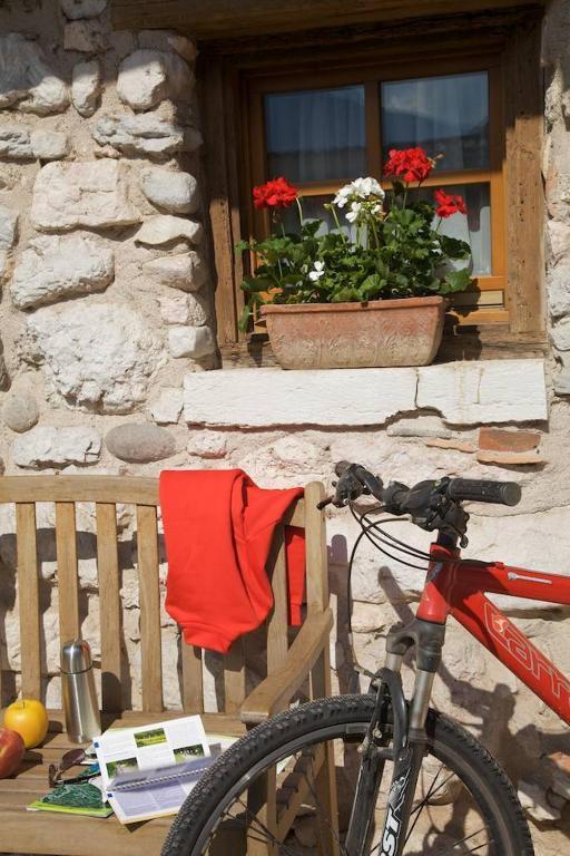 Willa Agriturismo Al Picchio Ala Zewnętrze zdjęcie