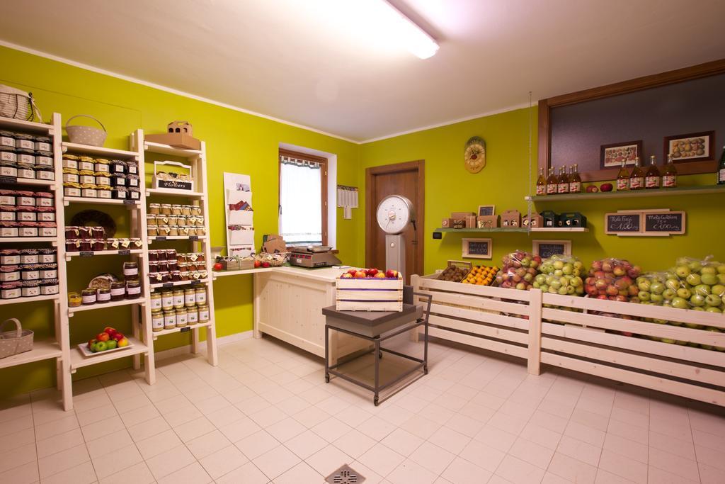 Willa Agriturismo Al Picchio Ala Zewnętrze zdjęcie