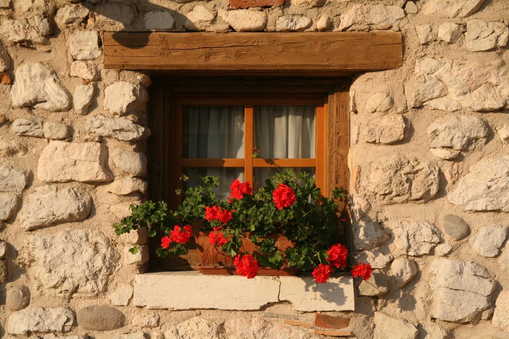 Willa Agriturismo Al Picchio Ala Zewnętrze zdjęcie